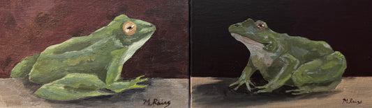 Amphibian Duo