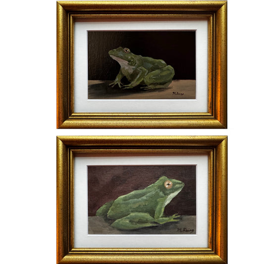 Amphibian Duo