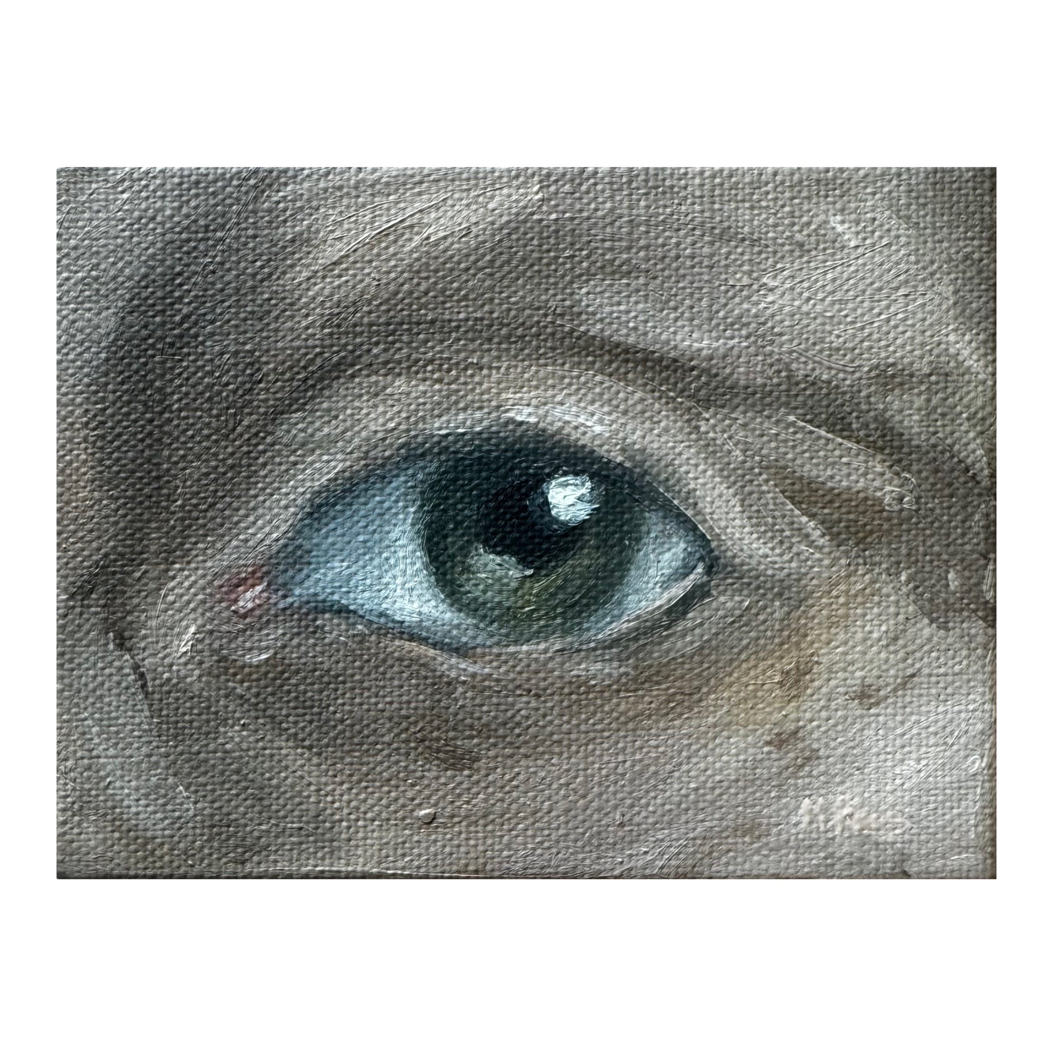 Lover's Eye IX – Madeline Rains Fine Art