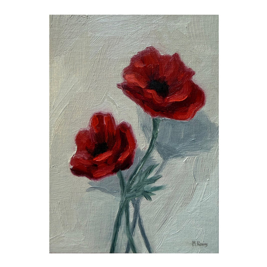 Papaver